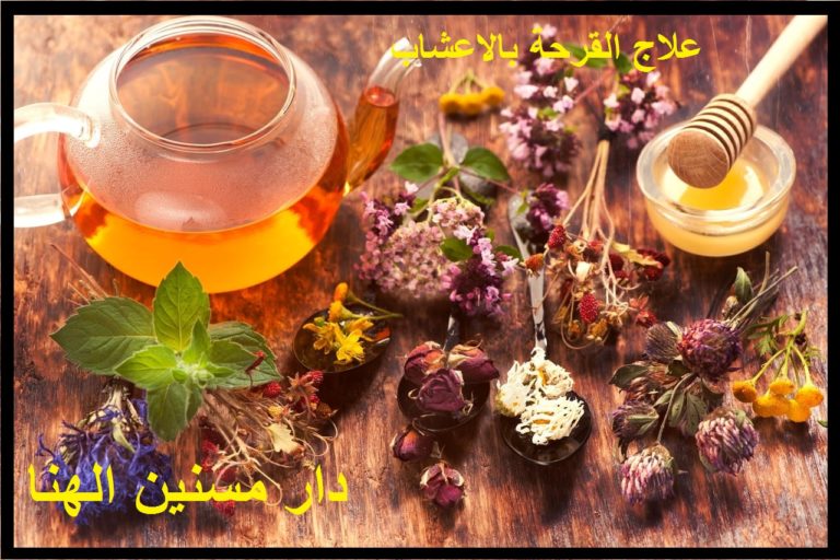 رعاية المسنين